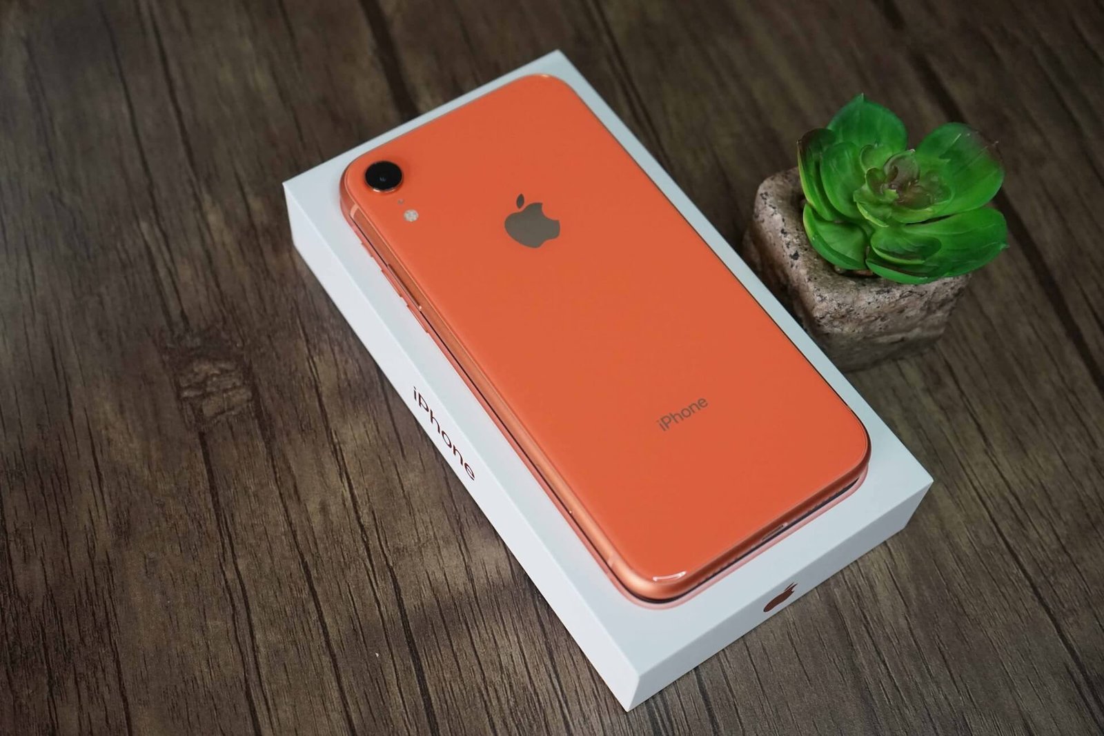 iPhone XR